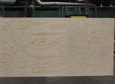 Eagon - Radiata Pine plywood